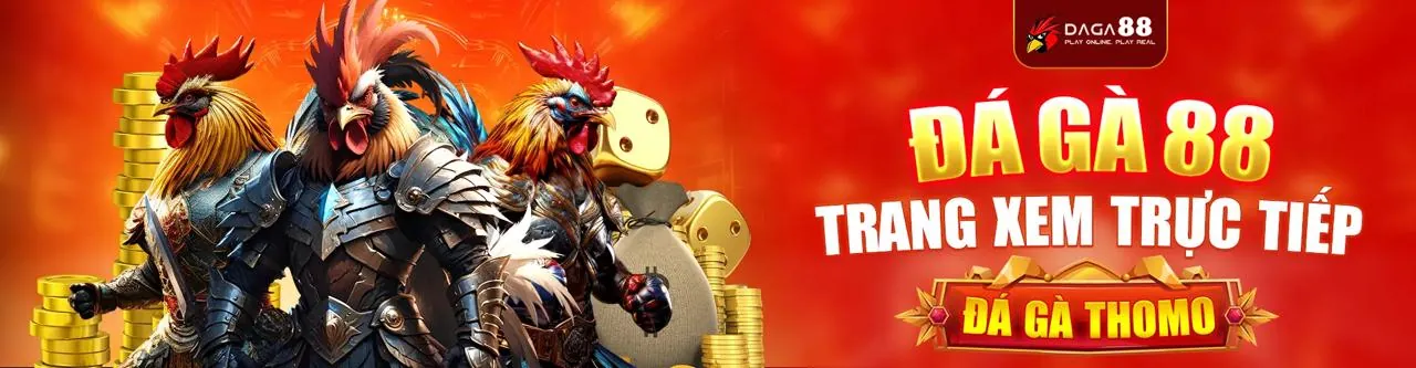 Đá Gà Trực Tuyến Hấp Dẫn tại 90ok APK